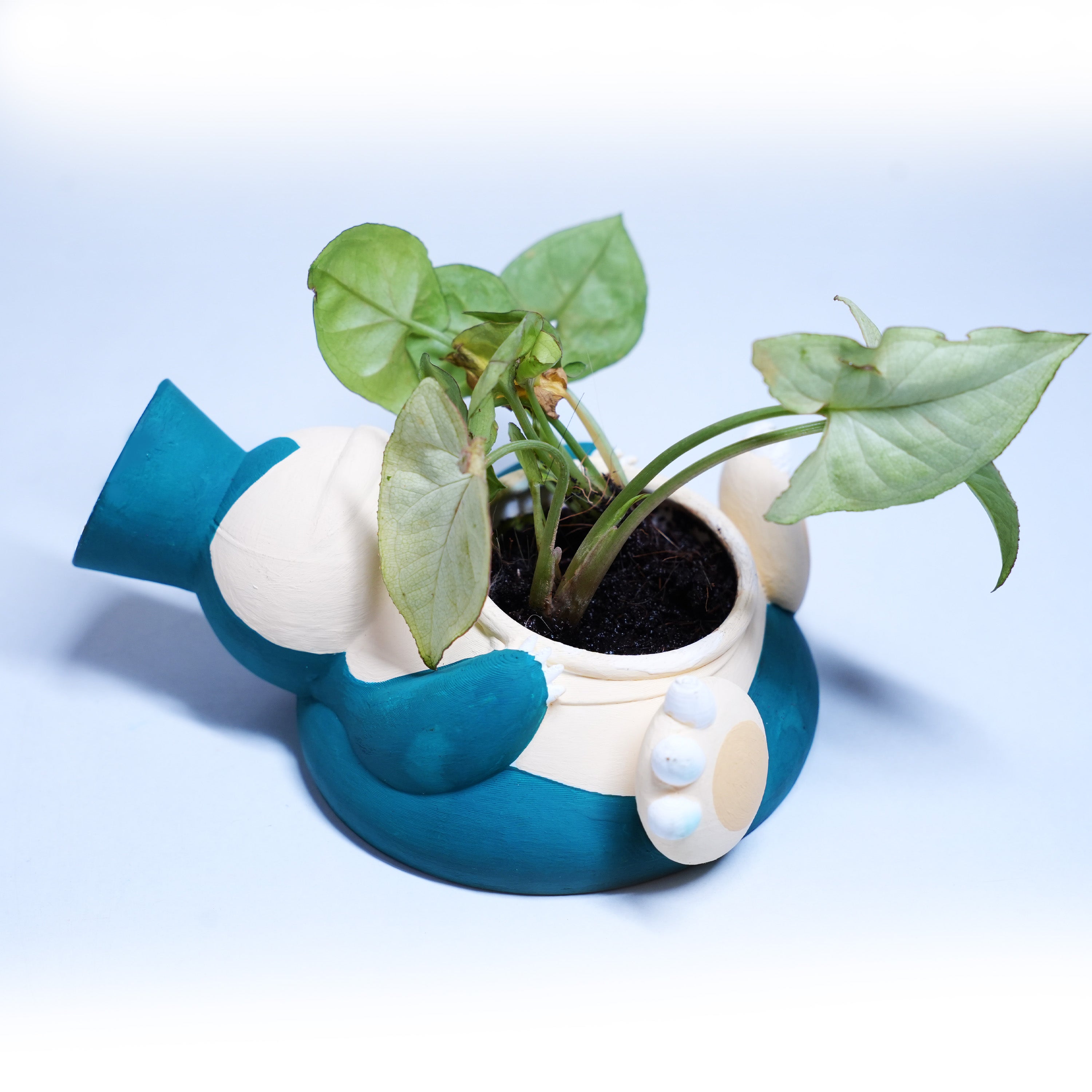 SNORLEX PLANTER