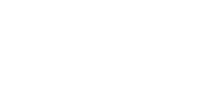 Bira 91 logo