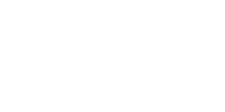 boAt logo