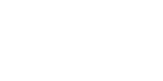 Kingfisher logo
