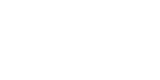 The Souled Store logo