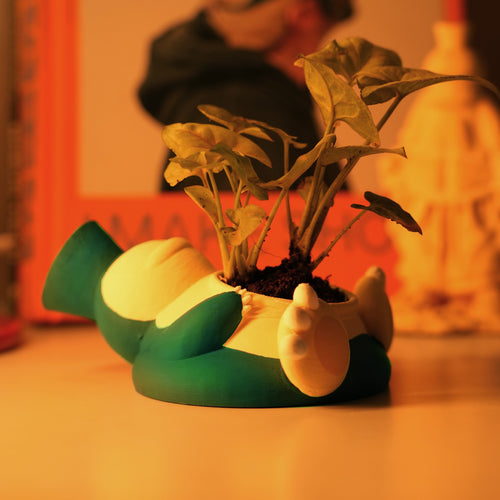 SNORLEX PLANTER
